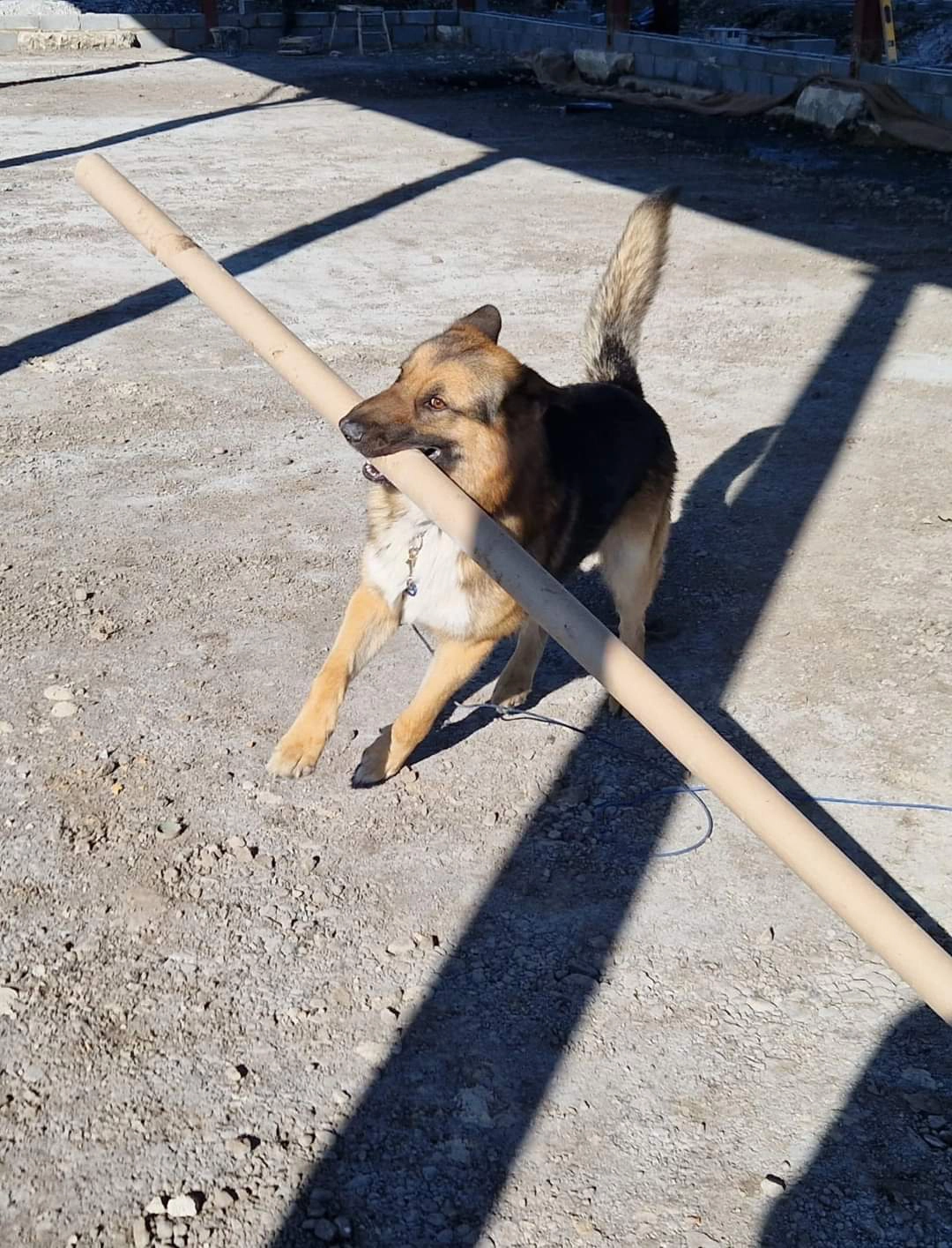 FB_IMG_1730968314689