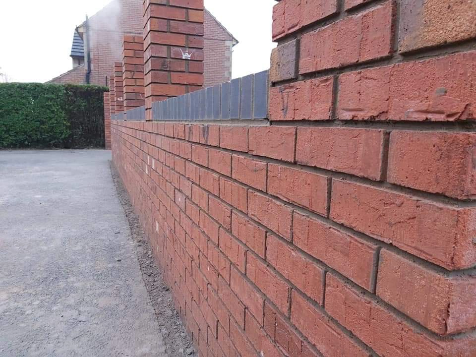 FB_IMG_1730969850582